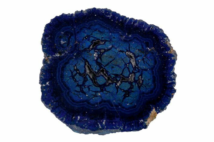 Vivid Blue, Cut/Polished Azurite Nodule Slice - Siberia #209527